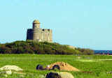Lien vers le page dédiée à l'île de Tatihou sur le site du conseil général de la Manche Photo de la tour Vauban