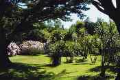 Les jardins de Vauville Photo du Vauville